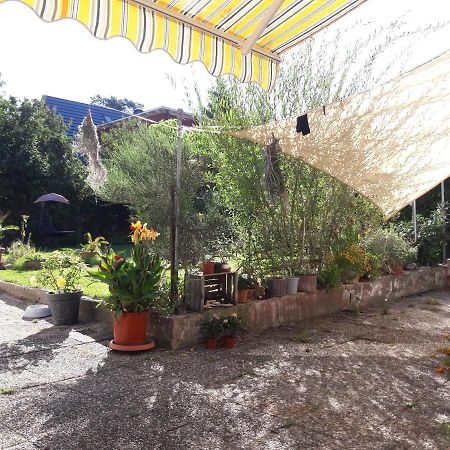Ferienwohnung Lerchennest Georgensgmund Exteriér fotografie